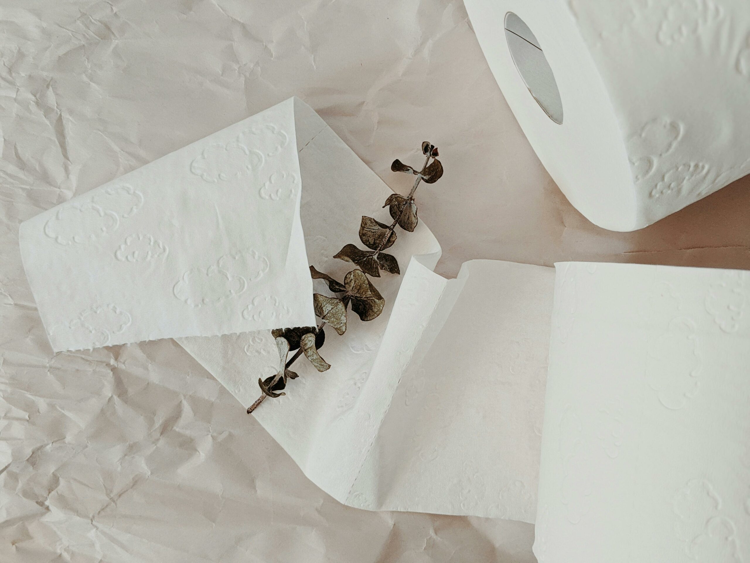 Papier toilette réutilisable